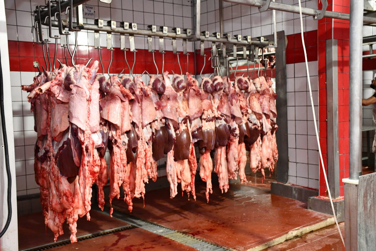 WhatsApp Image 2020-07-31 at 11.28.28 AM (2).jpeg.jpeg